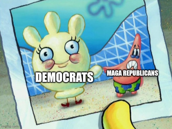 Since Maga Republicans are scared to debate Democrats this meme makes sense | MAGA REPUBLICANS; DEMOCRATS | image tagged in scared patrick and glovey glove | made w/ Imgflip meme maker