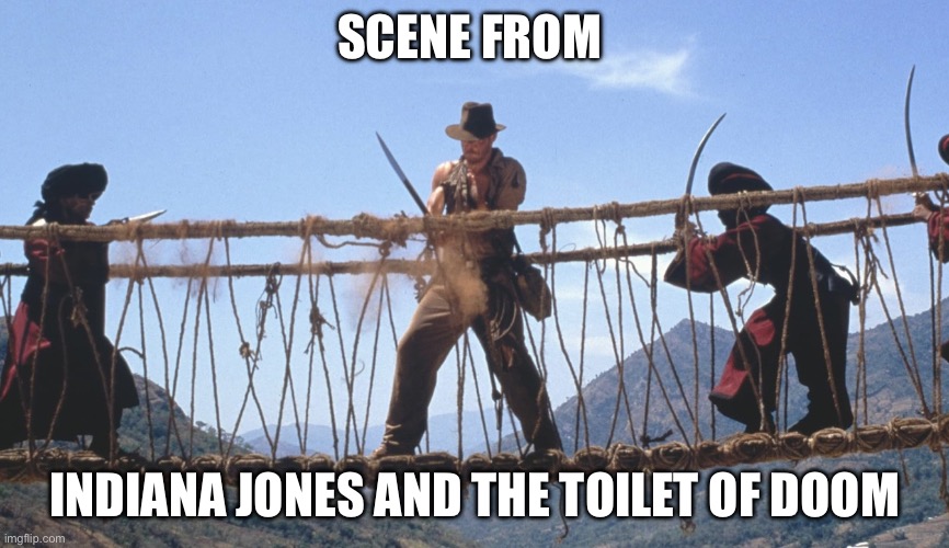 Indiana Jones Temple of Doom rope bridge | SCENE FROM INDIANA JONES AND THE TOILET OF DOOM | image tagged in indiana jones temple of doom rope bridge | made w/ Imgflip meme maker