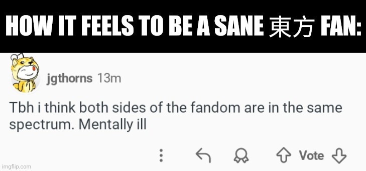 HOW IT FEELS TO BE A SANE 東方 FAN: | image tagged in memes,crazy,fandom | made w/ Imgflip meme maker