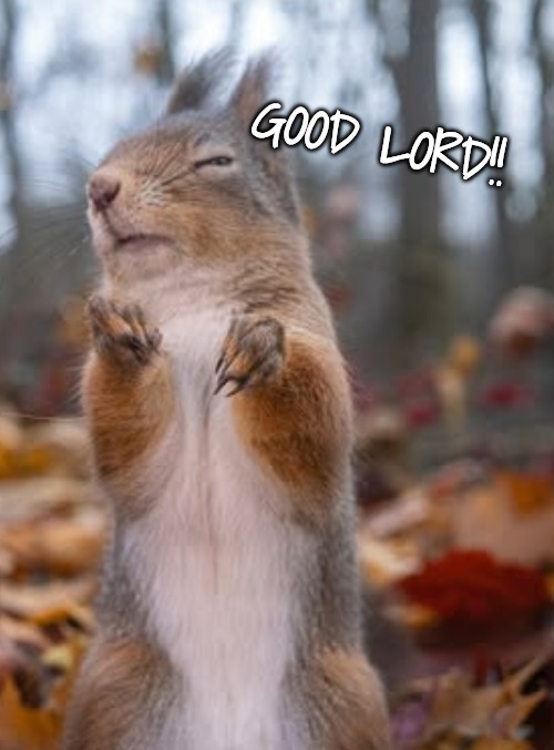 GOOD LORD!! | made w/ Imgflip meme maker