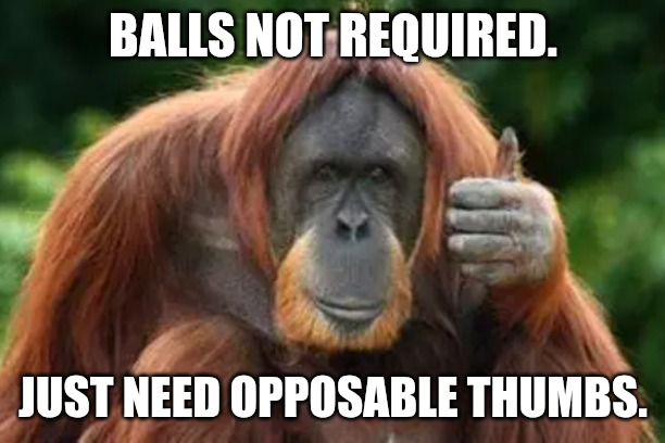 BALLS NOT REQUIRED. JUST NEED OPPOSABLE THUMBS. | made w/ Imgflip meme maker