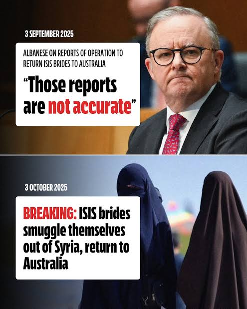 ISIS BRIDES Blank Meme Template