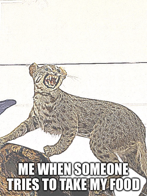 ME WHEN SOMEONE TRIES TO TAKE MY FOOD | image tagged in relatable | made w/ Imgflip meme maker