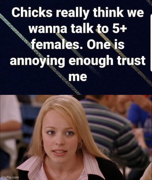 Chick's are too annoying to have more than one | image tagged in memes,its not going to happen,chicks | made w/ Imgflip meme maker