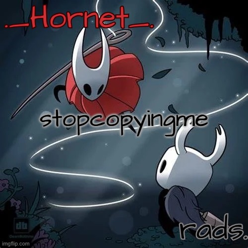 those who know | stopcopyingme | image tagged in hornet and radium temp | made w/ Imgflip meme maker