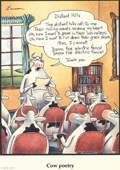There’s more to a cow’s life than eating grass and pooping… | image tagged in the far side,comics,cows,poetry,hills,electric fence | made w/ Imgflip meme maker