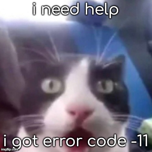 cat shocked | i need help; i got error code -11 | image tagged in cat shocked | made w/ Imgflip meme maker