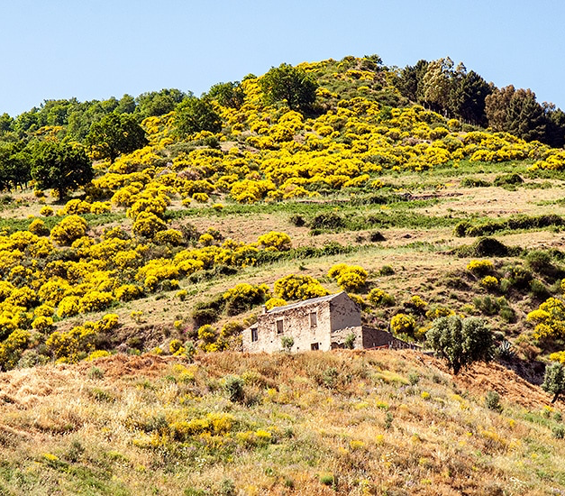 Send him 2 3 Calabria and forget Blank Meme Template