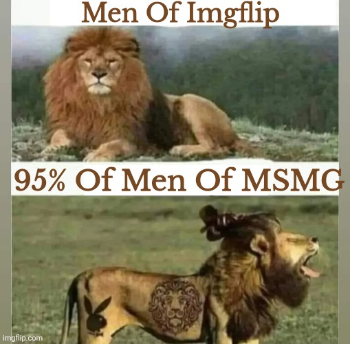 Men Of Imgflip; 95% Of Men Of MSMG | made w/ Imgflip meme maker