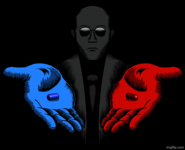 Red or Blue Pill you live and learn | image tagged in red or blue pill you live and learn | made w/ Imgflip meme maker