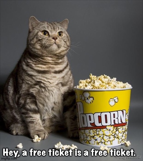 Cat eating popcorn | Hey, a free ticket is a free ticket. | image tagged in cat eating popcorn | made w/ Imgflip meme maker