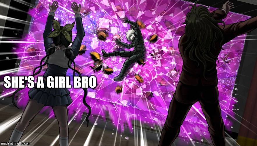 Gonta and Tenko throw K1-bo at glass | SHE'S A GIRL BRO | image tagged in gonta and tenko throw k1-bo at glass | made w/ Imgflip meme maker