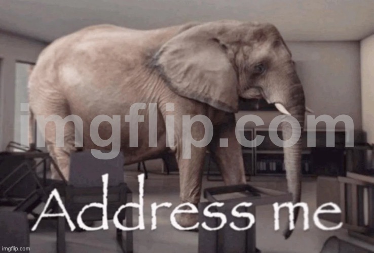 Address me | image tagged in address me | made w/ Imgflip meme maker