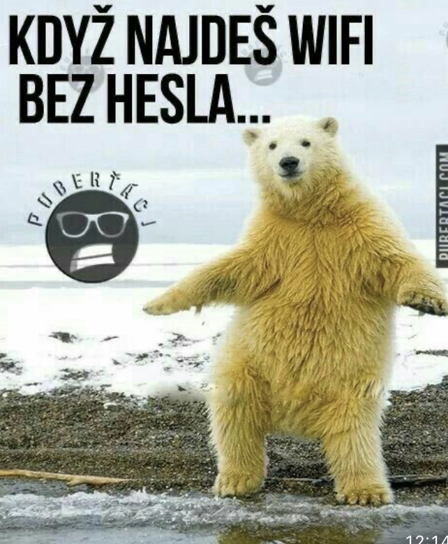 Cool bear dancing Blank Meme Template