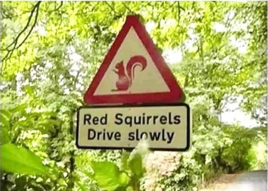 Chrisjoines1 Blank Meme Template