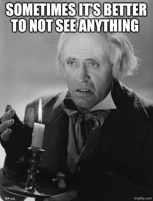 Scrooge | SOMETIMES IT'S BETTER TO NOT SEE ANYTHING | image tagged in scrooge | made w/ Imgflip meme maker