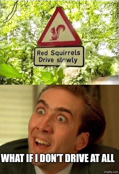 WHAT IF I DON'T DRIVE AT ALL | image tagged in chrisjoines1,nicolas cage | made w/ Imgflip meme maker