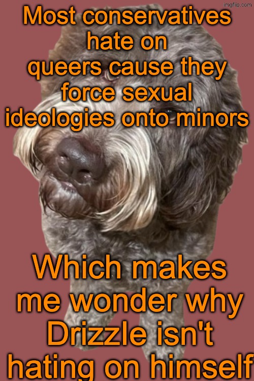 Northers Dog (Transparent) | Most conservatives hate on queers cause they force sexual ideologies onto minors; Which makes me wonder why DrizzIe isn't hating on himself | image tagged in northers dog transparent | made w/ Imgflip meme maker