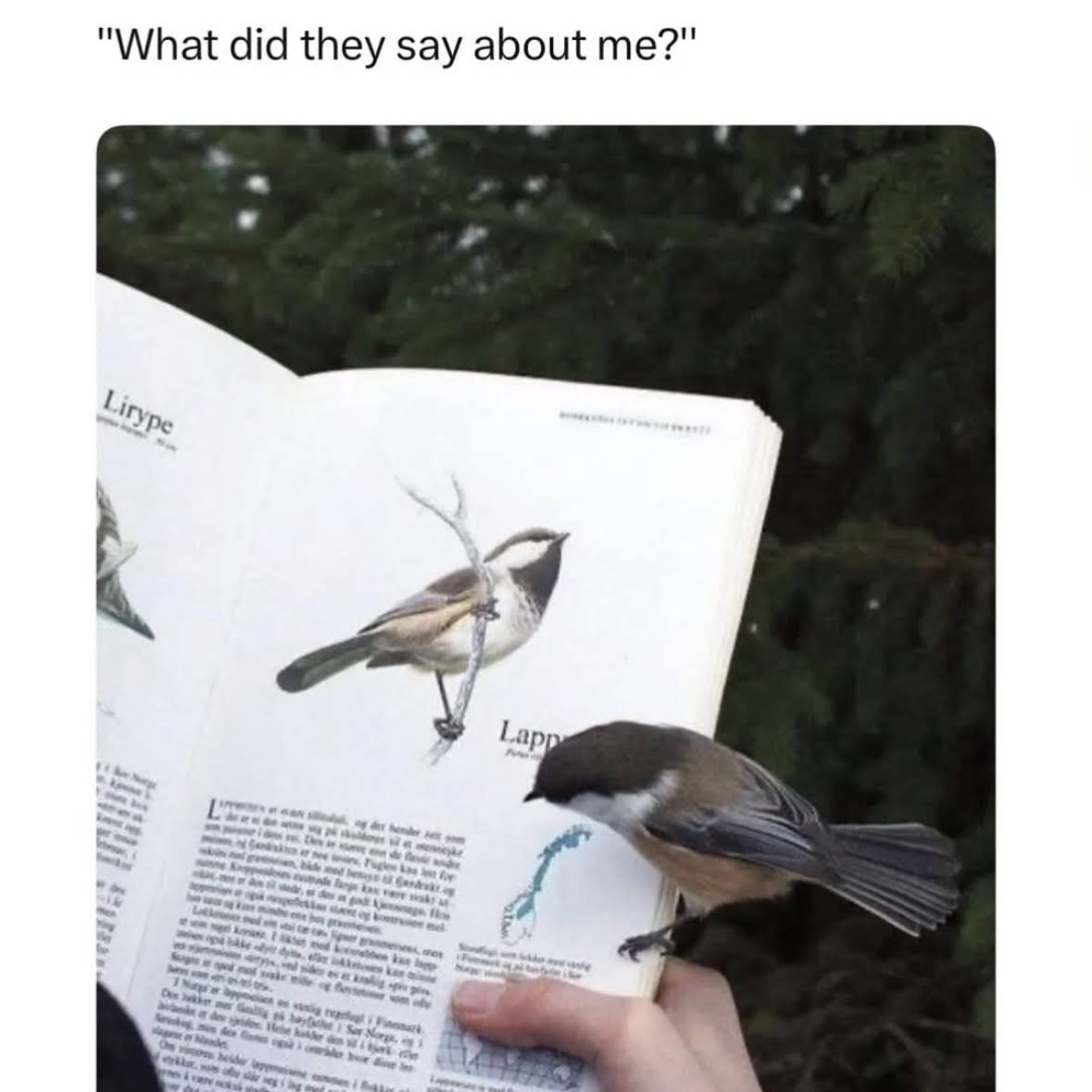 what did they say about me? Blank Meme Template