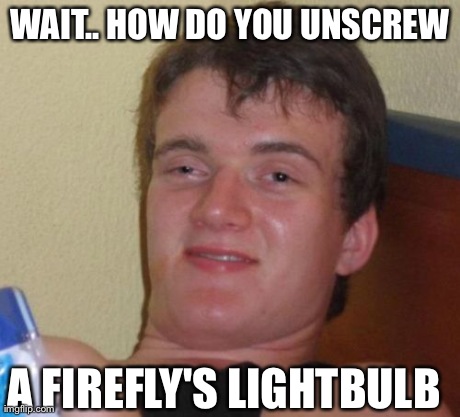 10 Guy Meme | WAIT.. HOW DO YOU UNSCREW A FIREFLY'S LIGHTBULB | image tagged in memes,10 guy | made w/ Imgflip meme maker