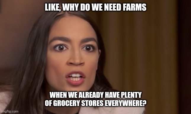 AOC | LIKE, WHY DO WE NEED FARMS; WHEN WE ALREADY HAVE PLENTY OF GROCERY STORES EVERYWHERE? | image tagged in aoc | made w/ Imgflip meme maker