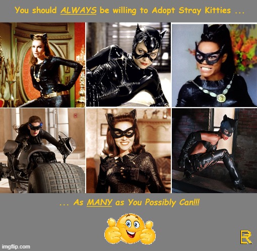 Stray Kitties | image tagged in catwoman,sexy women | made w/ Imgflip meme maker