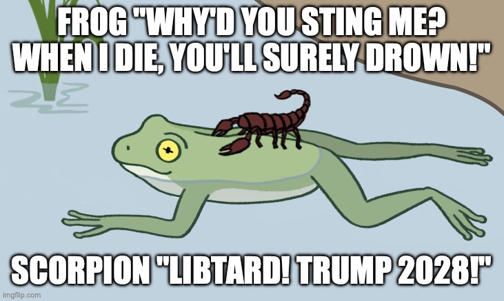 Jaguar ate my face? | FROG "WHY'D YOU STING ME? WHEN I DIE, YOU'LL SURELY DROWN!"; SCORPION "LIBTARD! TRUMP 2028!" | image tagged in frog and scorpion,maga,donald trump,trump derangement syndrome,clown car republicans | made w/ Imgflip meme maker