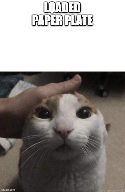 WHEN YOU PET YOU CAT | LOADED PAPER PLATE | image tagged in me petting my cat | made w/ Imgflip meme maker