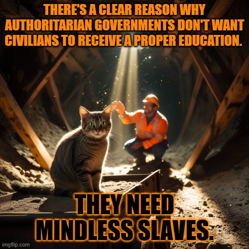 This #lolcat wonders why some governments don't want hoo-mens to be educated | THERE'S A CLEAR REASON WHY AUTHORITARIAN GOVERNMENTS DON'T WANT CIVILIANS TO RECEIVE A PROPER EDUCATION. THEY NEED MINDLESS SLAVES. | image tagged in education,oppression,dictator,school,lolcat | made w/ Imgflip meme maker