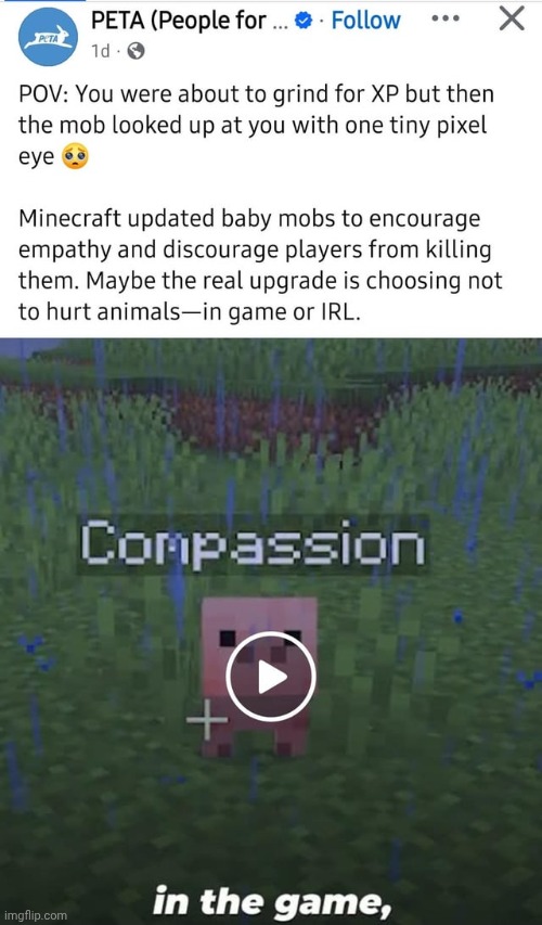 peta what are you on | made w/ Imgflip meme maker