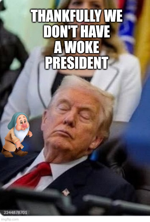 Dementia Don Sunsetting | THANKFULLY WE
DON'T HAVE
A WOKE
PRESIDENT | image tagged in donald trump sleeping in public,dementia,alzheimers,donald trump,maga | made w/ Imgflip meme maker