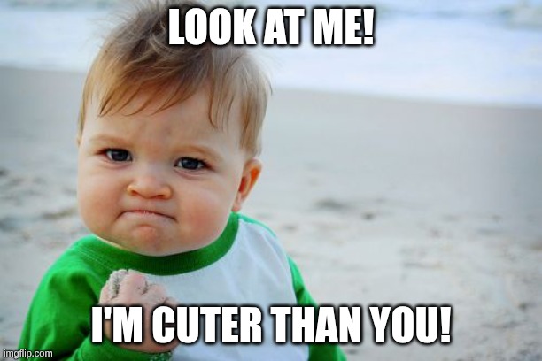 Peek-A-BOO!! | LOOK AT ME! I'M CUTER THAN YOU! | image tagged in memes,success kid original | made w/ Imgflip meme maker