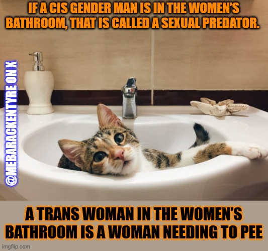This #lolcat wonders if everyone should be allowed to pee | IF A CIS GENDER MAN IS IN THE WOMEN’S BATHROOM, THAT IS CALLED A SEXUAL PREDATOR. @MEBARACKENTYRE ON X; A TRANS WOMAN IN THE WOMEN’S BATHROOM IS A WOMAN NEEDING TO PEE | image tagged in pee,transgender,transphobic,toilet,bigotry,lolcat | made w/ Imgflip meme maker