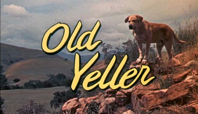 Time to die Old Yeller Blank Meme Template
