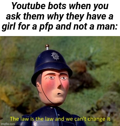 IT'S THE LAW | Youtube bots when you ask them why they have a girl for a pfp and not a man: | image tagged in the law is the law and we can't change it,bots,youtube,memes,yes,e | made w/ Imgflip meme maker