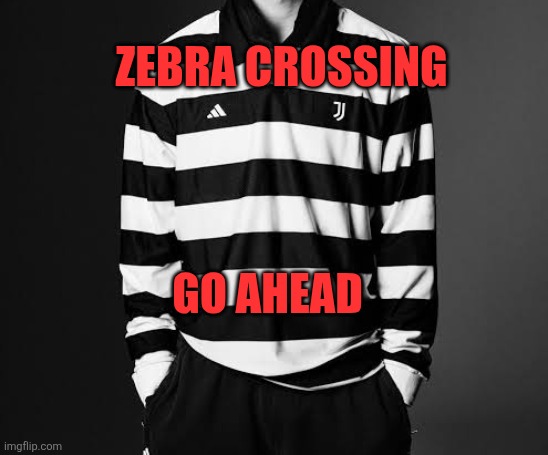 Zebra Crossing | ZEBRA CROSSING; GO AHEAD | image tagged in zebra crossing | made w/ Imgflip meme maker