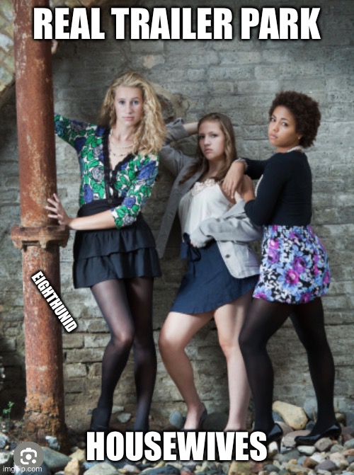 real housewives | REAL TRAILER PARK; EIGHTHUNID; HOUSEWIVES | image tagged in real housewives | made w/ Imgflip meme maker