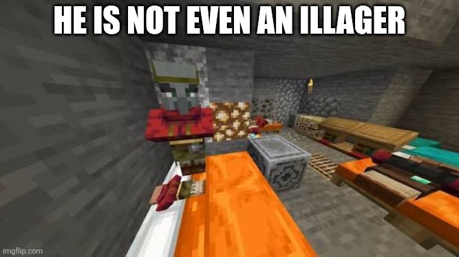 Traitor | HE IS NOT EVEN AN ILLAGER | image tagged in traitor | made w/ Imgflip meme maker