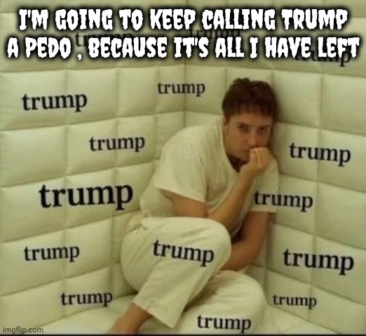 TDS sufferer | I'm going to keep calling Trump a Pedo , because it's all I have left | image tagged in tds sufferer | made w/ Imgflip meme maker