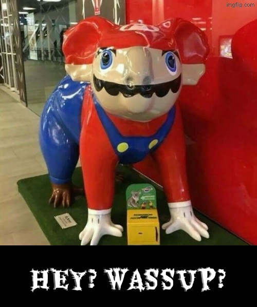 Dude Dafuq Is This For? | HEY? WASSUP? | image tagged in cursed images,what a terrible day to have eyes,super mario bros,what in the hot crispy kentucky fried frick,dafuq | made w/ Imgflip meme maker