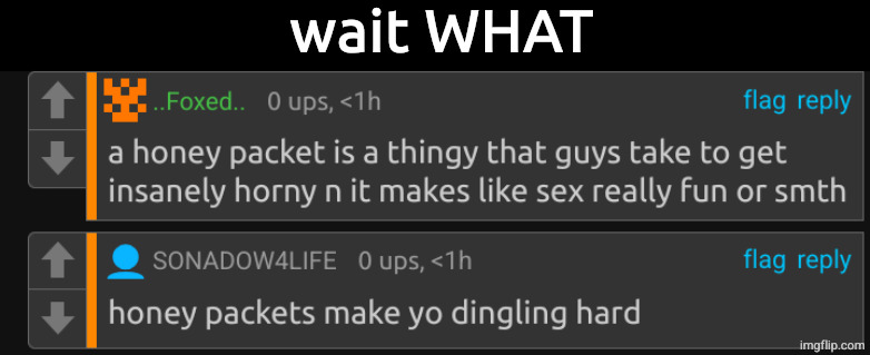 i deadass thought it was just like one of those little ketchup packets you get at the cafeteria but with honey instead | wait WHAT | made w/ Imgflip meme maker