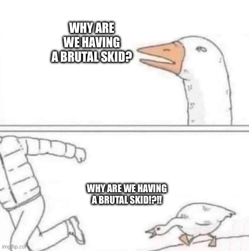 Goose Chase | WHY ARE WE HAVING A BRUTAL SKID? WHY ARE WE HAVING A BRUTAL SKID!?!! | image tagged in goose chase | made w/ Imgflip meme maker