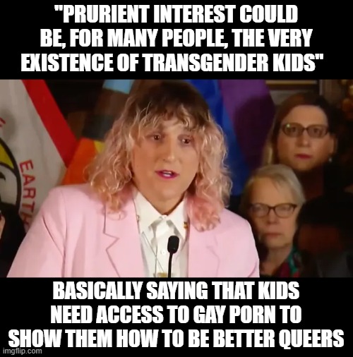 house bill 1434   -  this is the hill they are dying on, removing age verification for minor to porn sites.. wow | "PRURIENT INTEREST COULD BE, FOR MANY PEOPLE, THE VERY EXISTENCE OF TRANSGENDER KIDS"; BASICALLY SAYING THAT KIDS NEED ACCESS TO GAY PORN TO SHOW THEM HOW TO BE BETTER QUEERS | image tagged in political meme,unrealistic expectations,transgender,freaks,stupid liberals | made w/ Imgflip meme maker