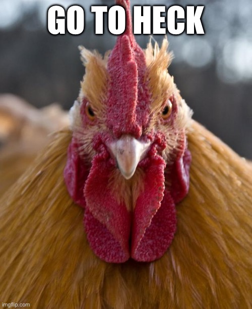 A meme I made up in my sleep | GO TO HECK | image tagged in angry chicken,memes,dream,chicken,heck,stupid | made w/ Imgflip meme maker
