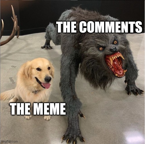 Insert title here | THE COMMENTS; THE MEME | image tagged in dog vs werewolf,imgflip,comments | made w/ Imgflip meme maker