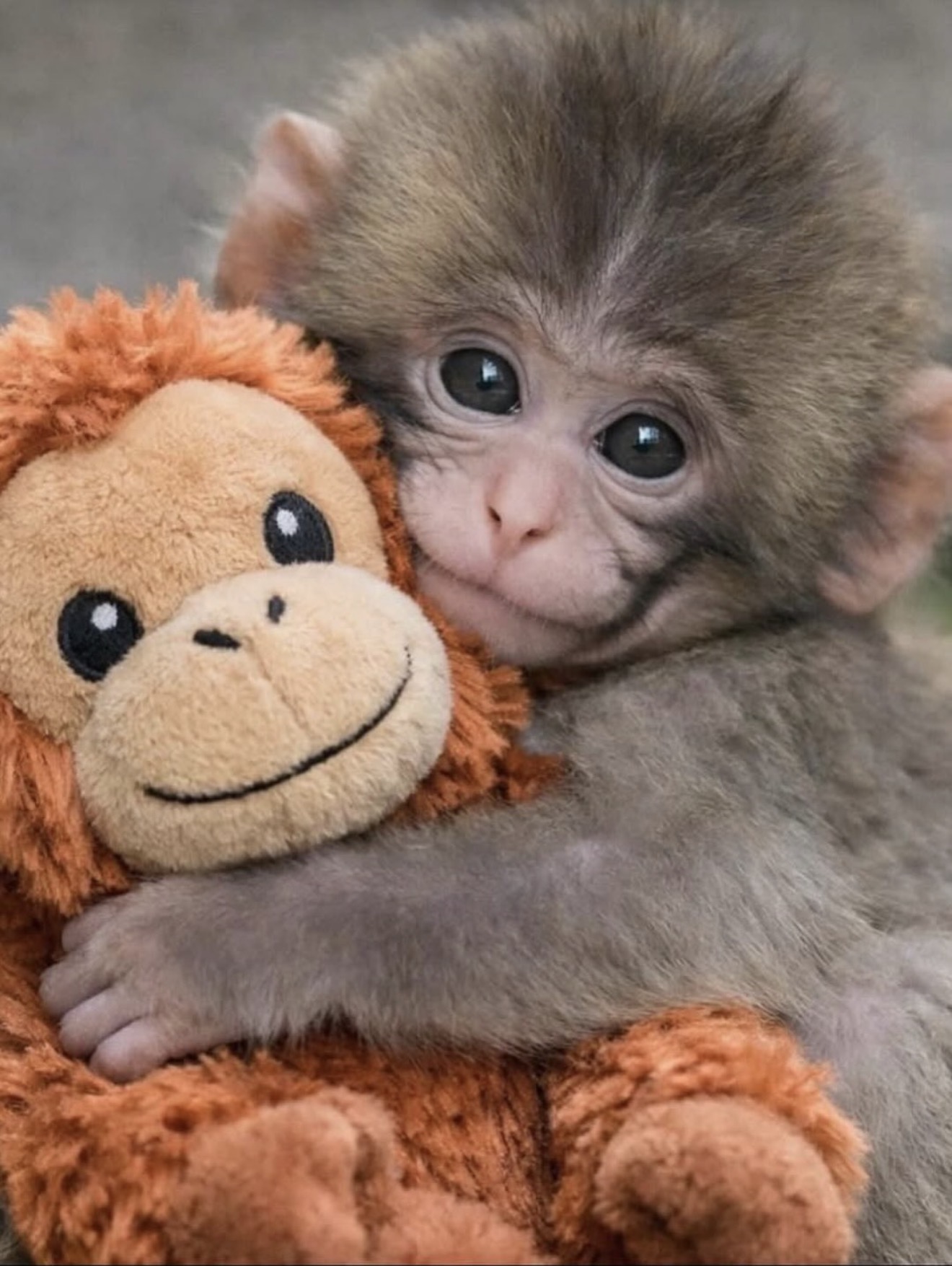 Punch Blank Meme Template