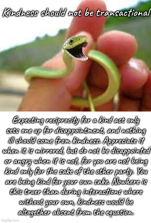 things I've learned from rude people | Kindness should not be transactional; Expecting reciprocity for a kind act only
sets one up for disappointment, and nothing
ill should come from kindness. Appreciate it
when it is mirrored, but do not be disappointed
or angry when it is not, for you are not being
kind only for the sake of the other party. You
are being kind for your own sake. Nowhere is
this truer than during interactions where
without your own, kindness would be
altogether absent from the equation. | image tagged in happy snek | made w/ Imgflip meme maker