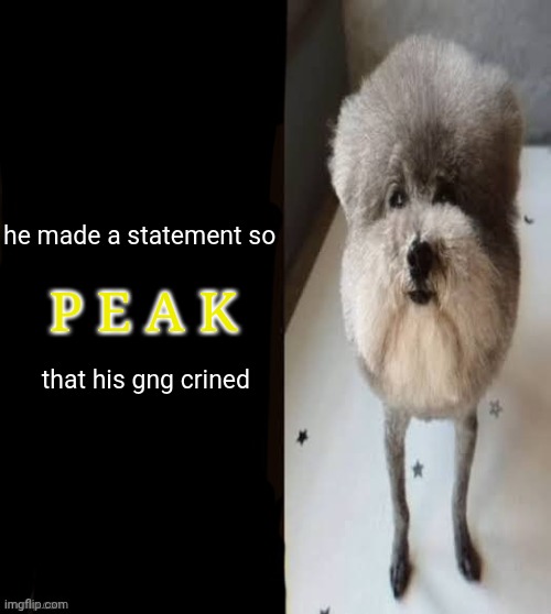 he made a statement blank | he made a statement so 
 
 
 
 

 that his gng crined; P E A K | image tagged in he made a statement blank | made w/ Imgflip meme maker