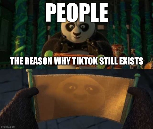 Kung Fu Panda Scroll | PEOPLE; THE REASON WHY TIKTOK STILL EXISTS | image tagged in kung fu panda scroll | made w/ Imgflip meme maker