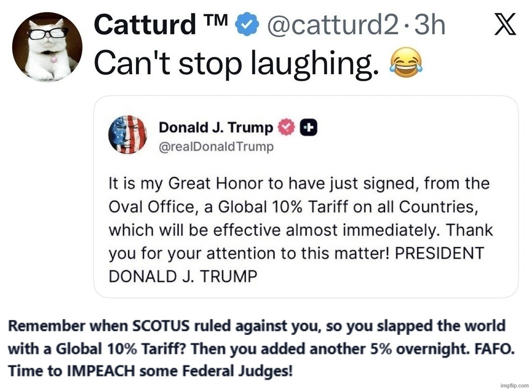 Catturd Can't Stop Laughing. | image tagged in catturd,fafo,impeach,scotus,separation of powers,government corruption | made w/ Imgflip meme maker